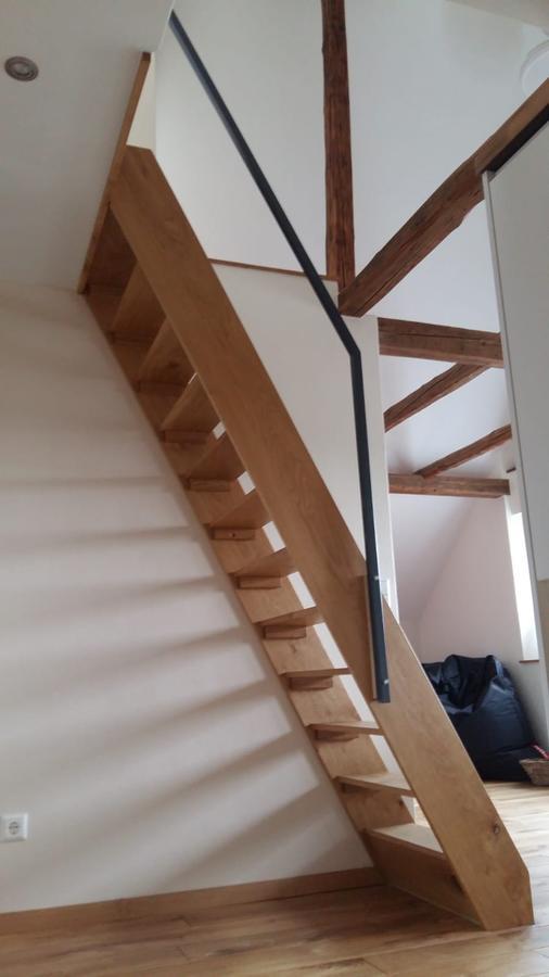 Casa Meloni Apartment Bad Sachsa Bagian luar foto